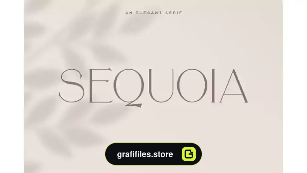 فونت انگلیسی Sequoia Typeface