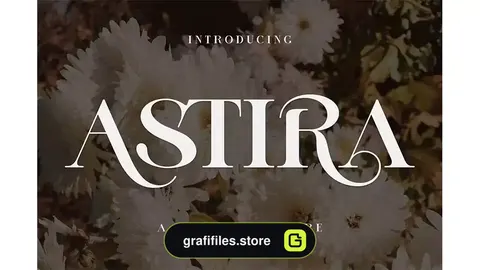 فونت انگلیسی مدرن ASTIRA Modern Ligature Serif
