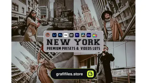 پریست لایتروم مود نیویورک