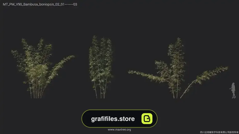 آبجکت گل و گیاه از Maxtree – کالکشن 90 - 3