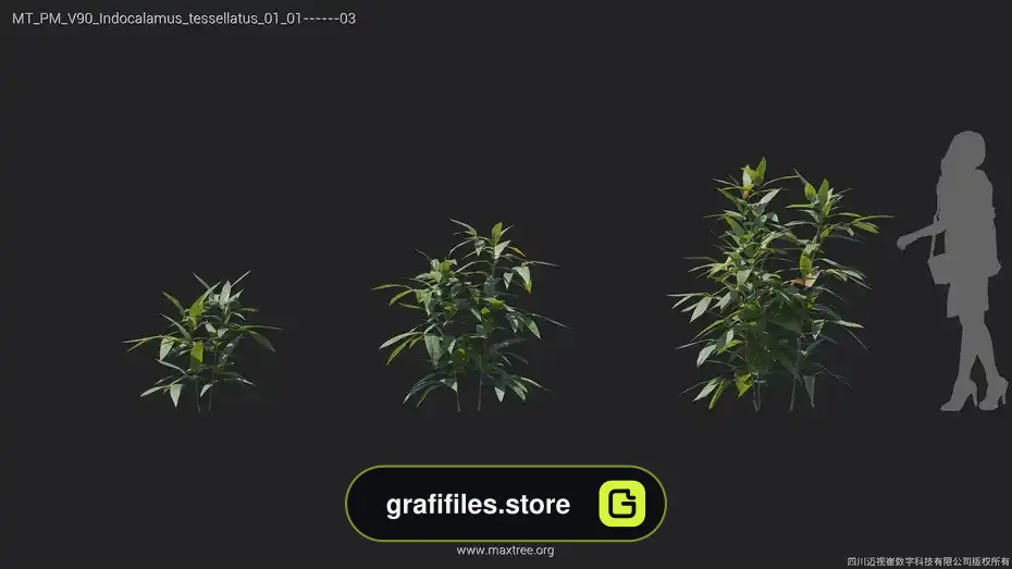 آبجکت گل و گیاه از Maxtree – کالکشن 90 - 13