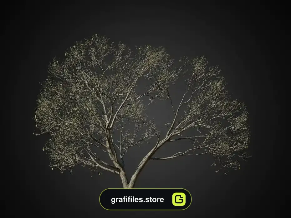 آبجکت درخت ولوم 1 - 5