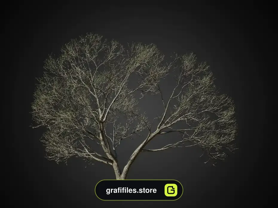 آبجکت درخت ولوم 1 - 7