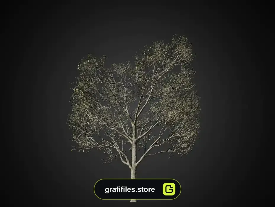 آبجکت درخت ولوم 1 - 13