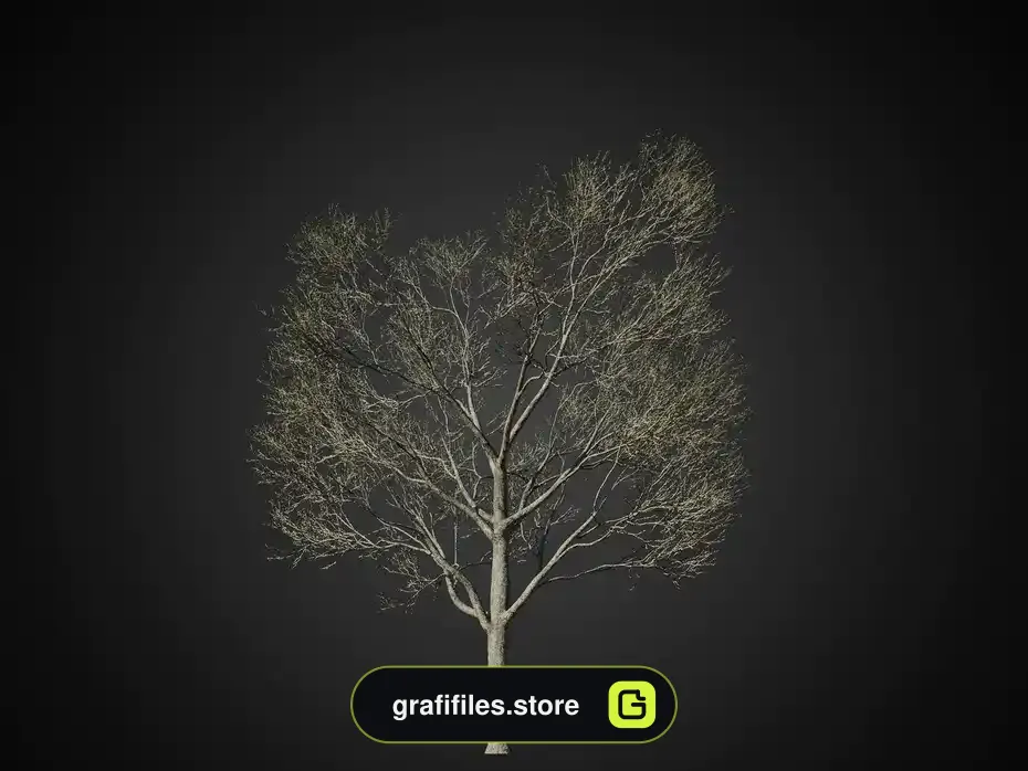 آبجکت درخت ولوم 1 - 15