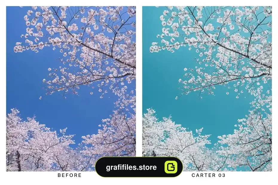 دانلود پریست رنگ لاجوردی Azure Lightroom Presets and LUTs - 16 پریست رنگ لاجوردی - 15