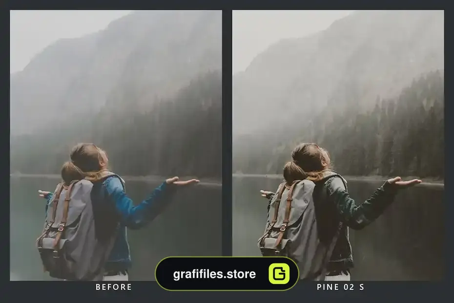 پریست رنگ Cedar Lightroom Presets and LUTs - 3
