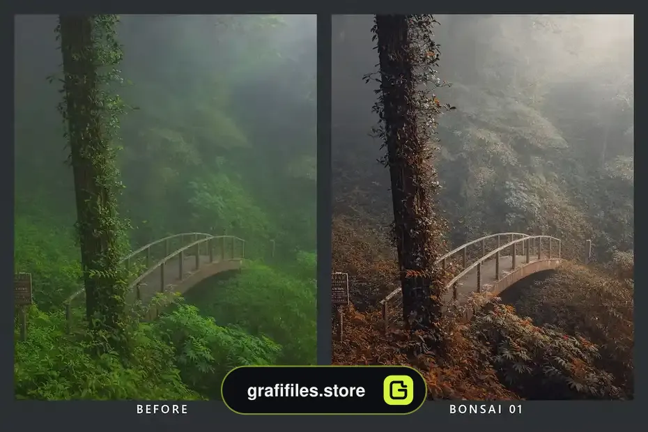 پریست رنگ Cedar Lightroom Presets and LUTs - 9