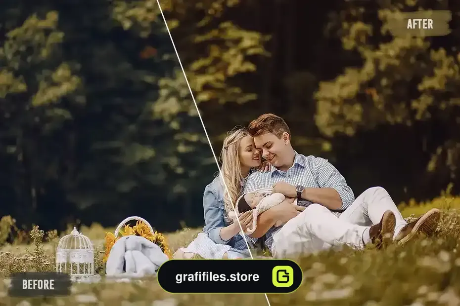 پریست اصلاح رنگ Family LUTs Pack - 7