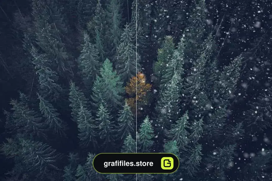 براش برف فتوشاپ Snow Photoshop Brushes - 7
