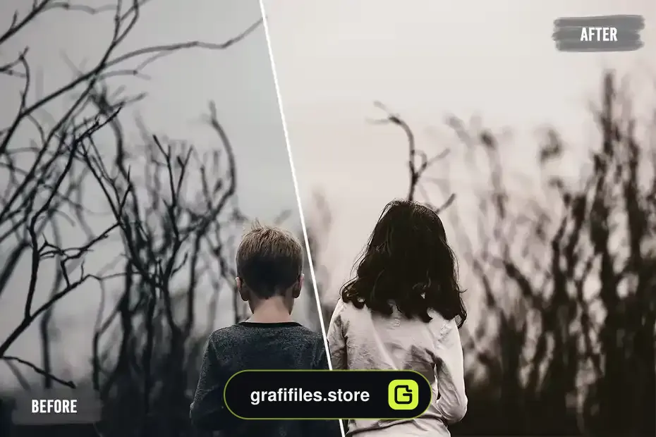 پریست اصلاح رنگ Folky LUTs Pack - 5