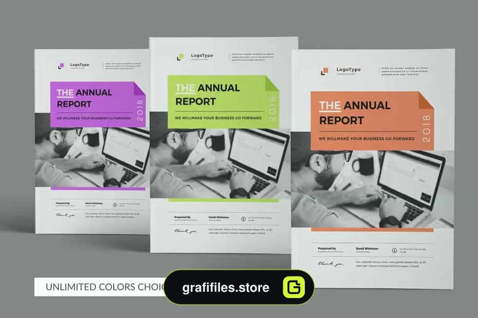 قالب ایندیزاین گزارش سالانه Annual Report 24 Pages - 4