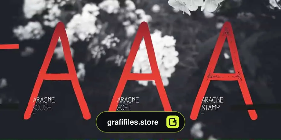 فونت انگلیسی Aracne