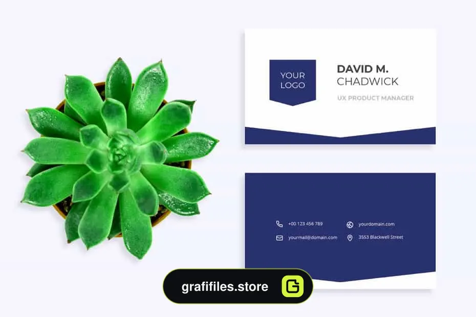 دانلود قالب آماده ورد رزومه Vectex - Business Clean Resume CV Set - 5 قالب آماده ورد رزومه Vectex - 4