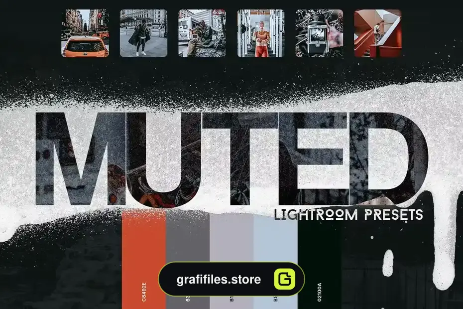 پریست لایت روم Muted Lightroom Presets - 1