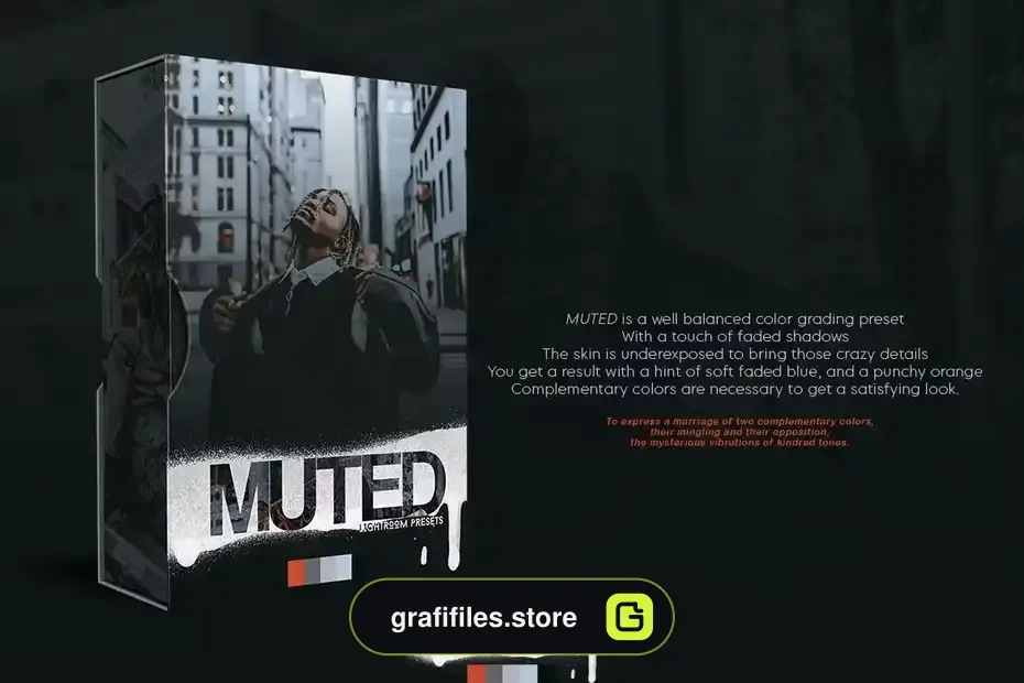 پریست لایت روم Muted Lightroom Presets - 3