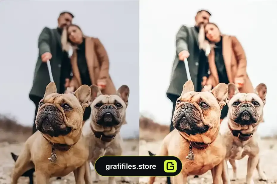 پریست لایت روم پاییز Lightroom Presets - Autumn - 3