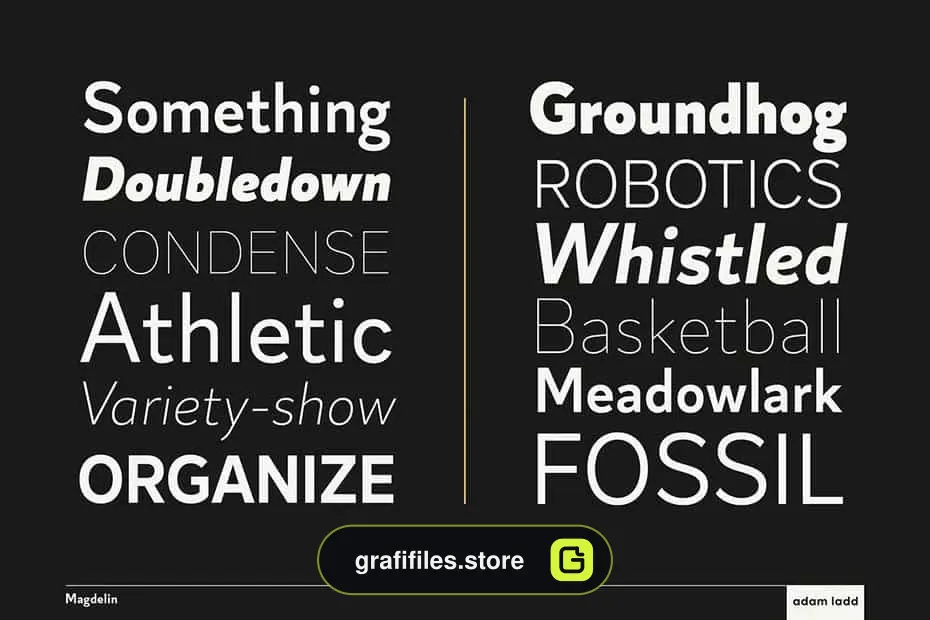 فونت انگلیسی Magdelin Font Family