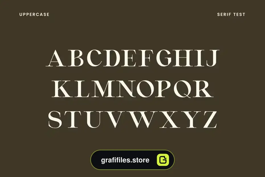 دانلود فونت انگلیسی Montvolca Elegant Serif Font - 12 فونت انگلیسی Montvolca Elegant Serif Font - 11
