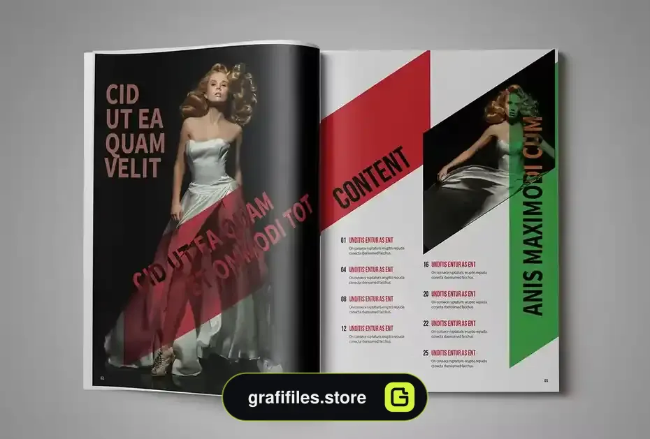 قالب ایندیزاین مجله Multipurpose InDesign MagazineTemplate - 15