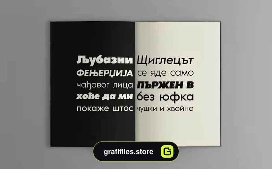 فونت انگلیسی Noir Pro