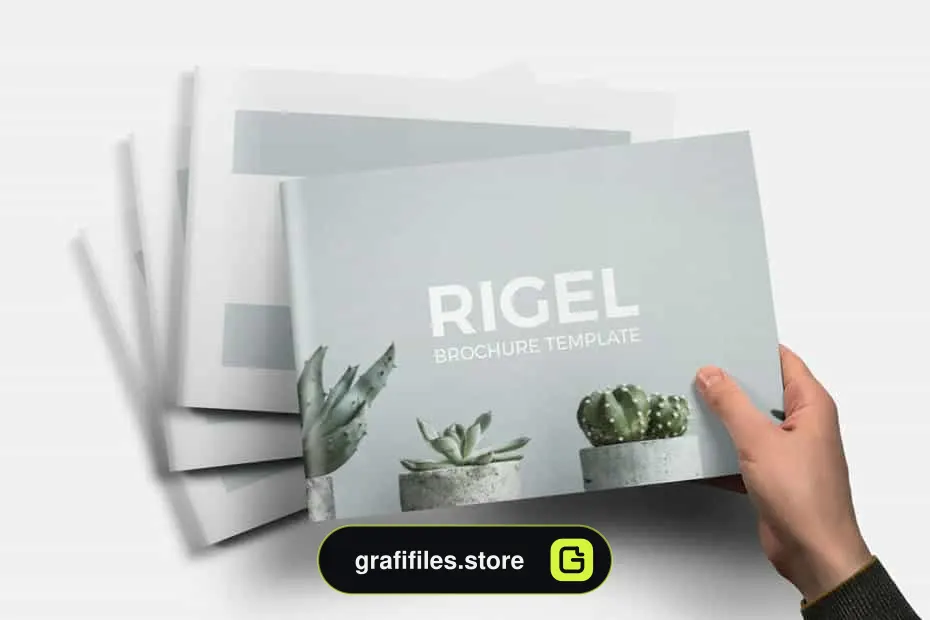 قالب ایندیزاین بروشور Rigel Brochure Template