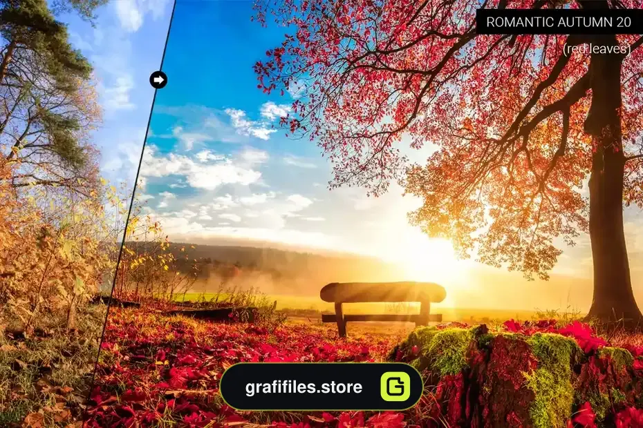 دانلود پریست لایت روم پاییز رمانتیک Romantic Autumn Lightroom Presets - 14 پریست لایت روم پاییز رمانتیک - 13