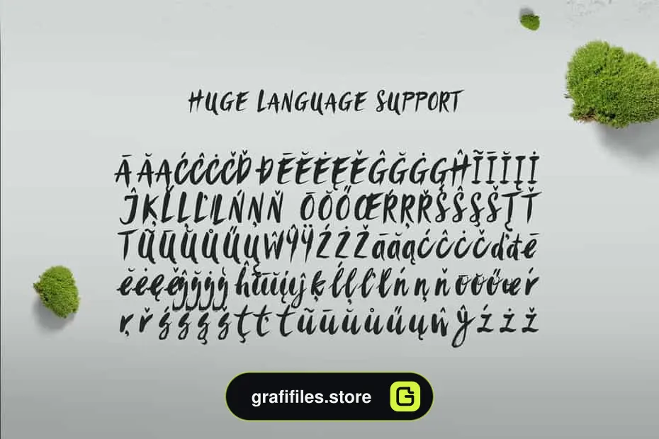فونت انگلیسی Sanös Extended Script Font