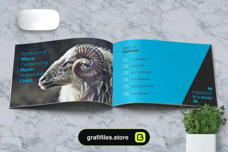 دانلود قالب ایندیزاین بروشور مزرعه گوسفند Sheep Farm Brochure A5 - 2 قالب ایندیزاین بروشور مزرعه گوسفند