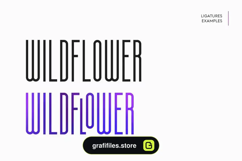 فونت انگلیسی مدرن Essenziale - Font Family - 5