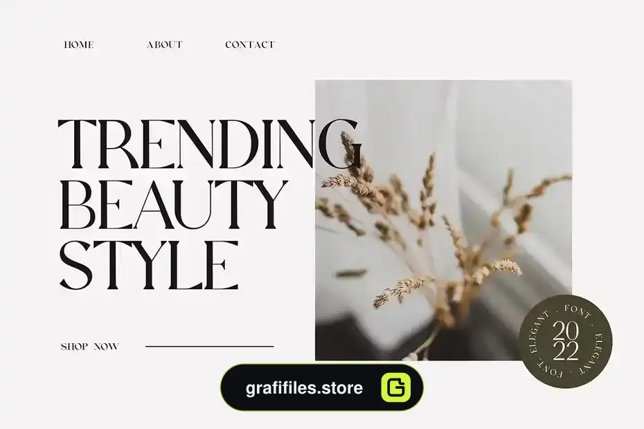 فونت انگلیسی کلاسیک Extradicta Classic Serif Font - 5