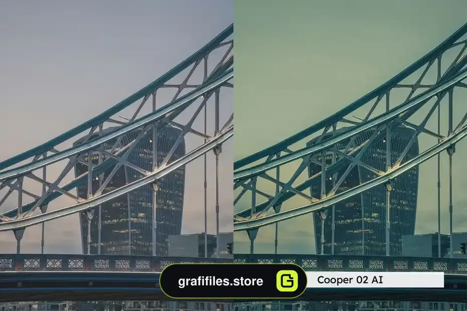 دانلود 20 پریست لایتروم Stark Film Lightroom Presets and LUTs - 10 دانلود 20 پریست لایتروم Stark Film - 9