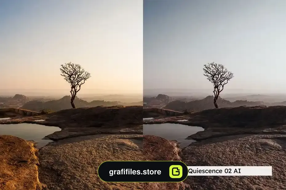 دانلود 20 پریست لایتروم Stillness - 5