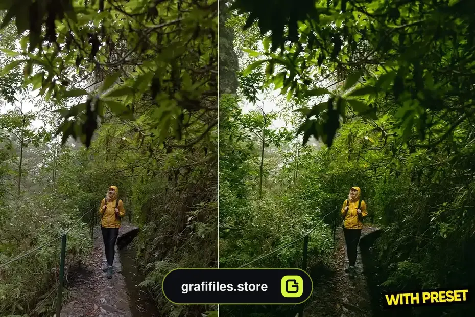 دانلود پریست لایتروم طبیعت ARTA - Fresh Place Presets for Lightroom - 2 پریست لایتروم طبیعت ARTA - 1