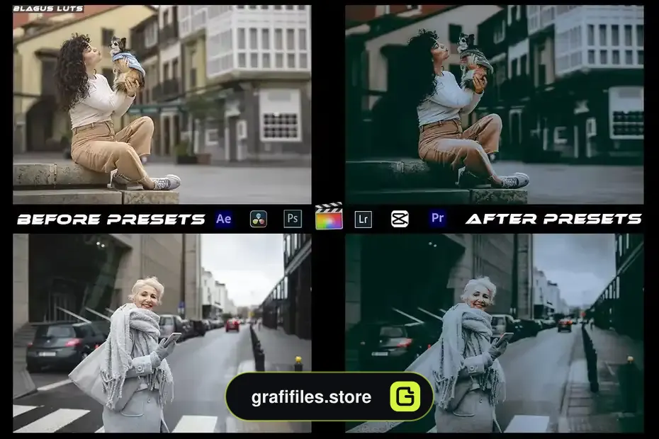 دانلود پریست لایتروم سیاه و سفید Artistic Black Mood Preset Luts Video Premiere Pro - 6 پریست لایتروم سیاه و سفید - 5