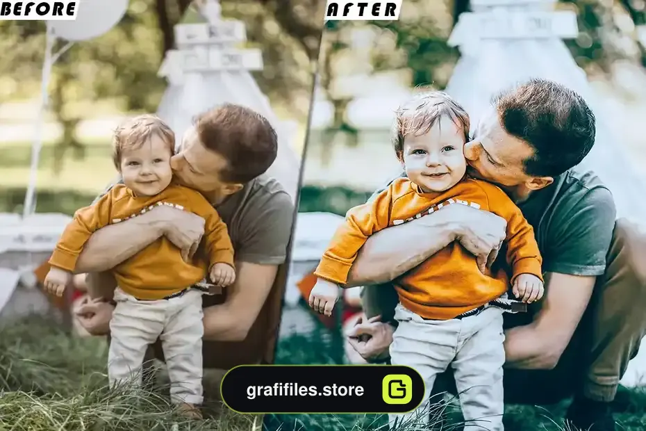 دانلود پریست لایتروم Family Fin Presets - luts Videos Premiere Pro - 4 پریست لایتروم Family Fin Presets - 3
