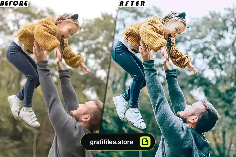 دانلود پریست لایتروم Family Fin Presets - luts Videos Premiere Pro - 12 پریست لایتروم Family Fin Presets - 11