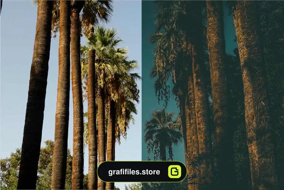 پریست تم تیره
