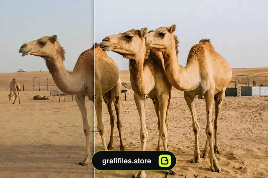 دانلود مجموعه پریست مخصوص لایتروم