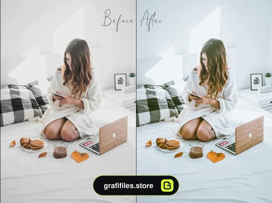 پریست لایتروم موبایل Mobile Lightroom