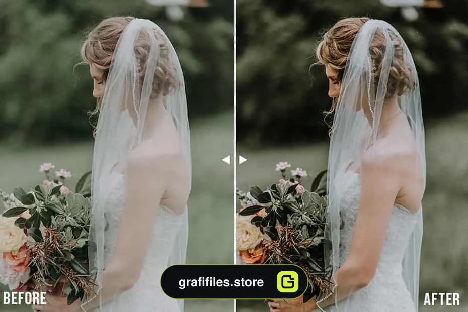 پریست لایت روم موبایل Moody Presets