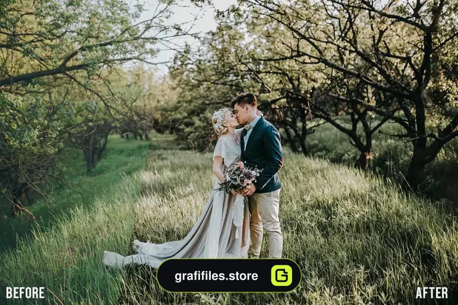 پریست لایت روم موبایل Moody Presets