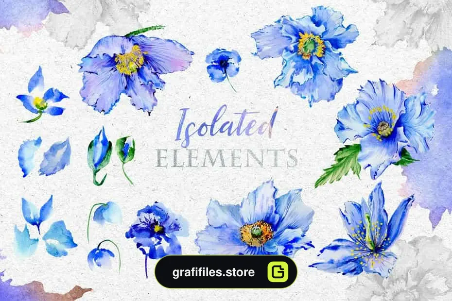 کلیپ آرت آبرنگی گل Blue Poppies Watercolor Png