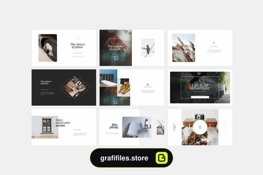 قالب پاورپوینت Bonsai PowerPoint Template