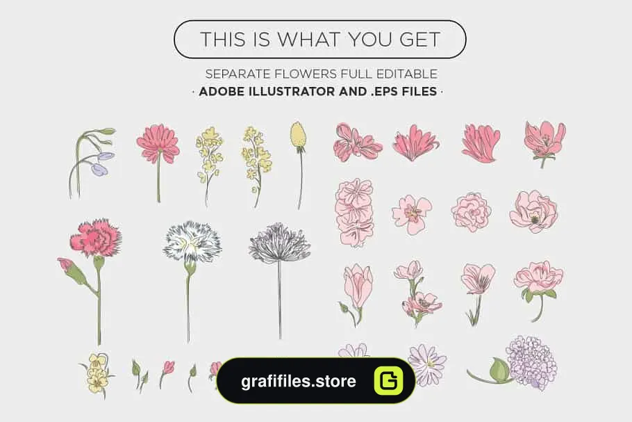 دانلود وکتور گل Floral Vectors