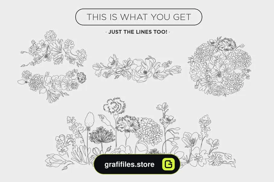 دانلود وکتور گل Floral Vectors