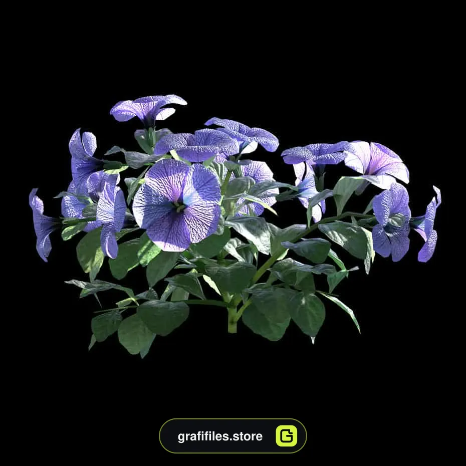 دانلود مدل سه بعدی گل - 13