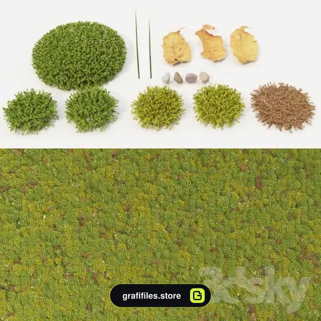 دانلود 18 مدل سه بعدی چمن