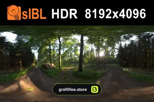 تصاویر HDRI محیط جنگلی