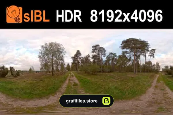 تصاویر HDRI محیط جنگلی
